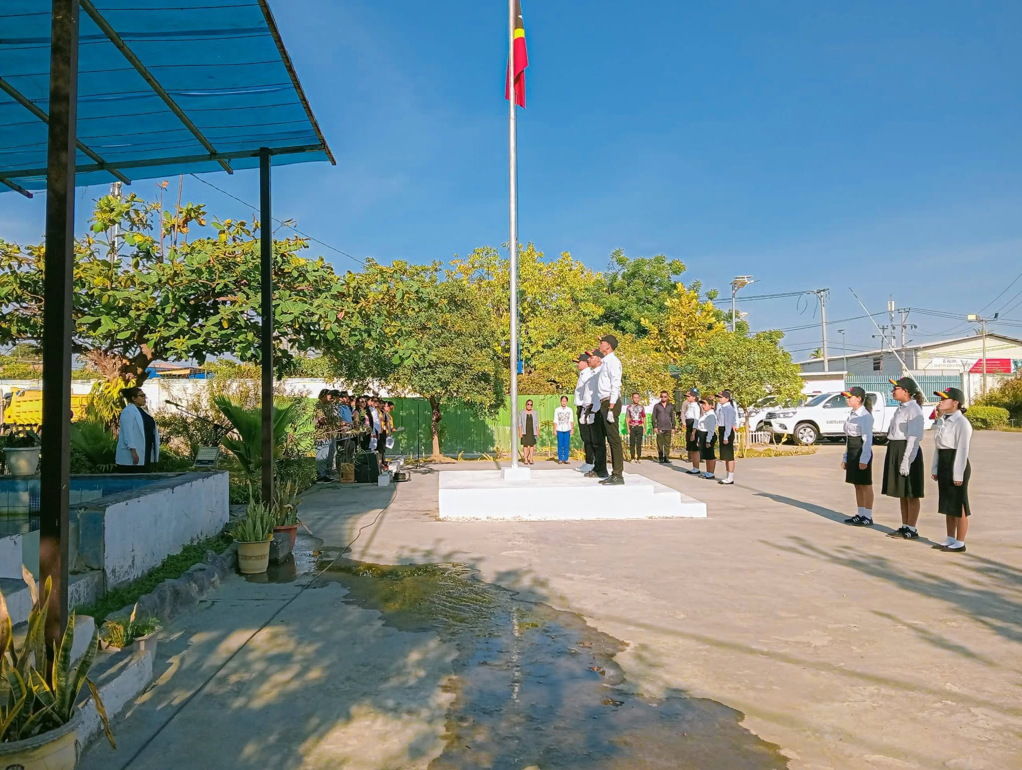 News image