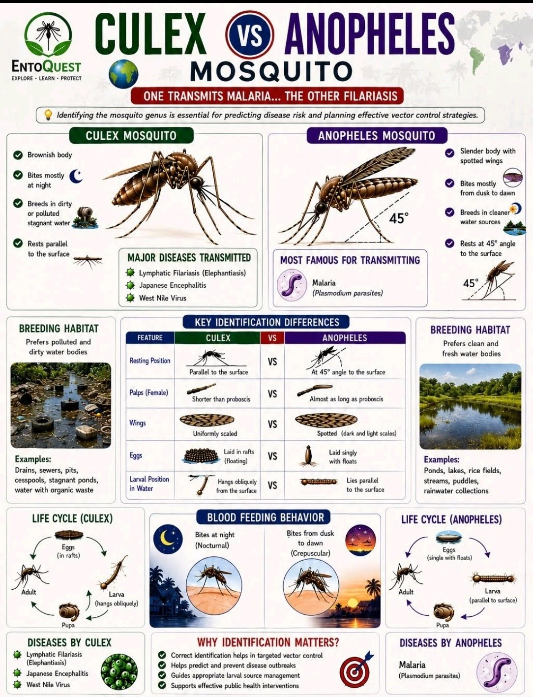 Notisia Image