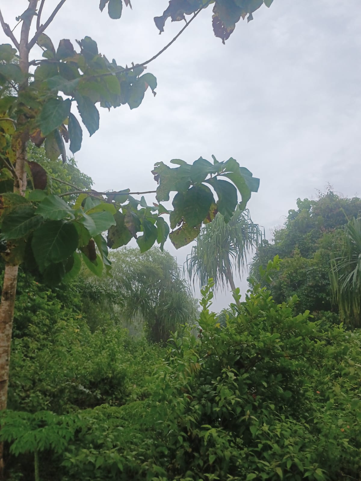 Nino Konis Santana National Park