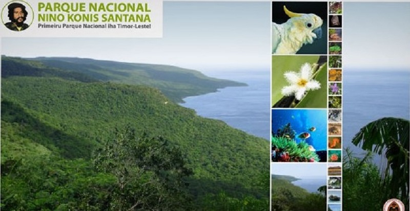 Area Parque nasional 1