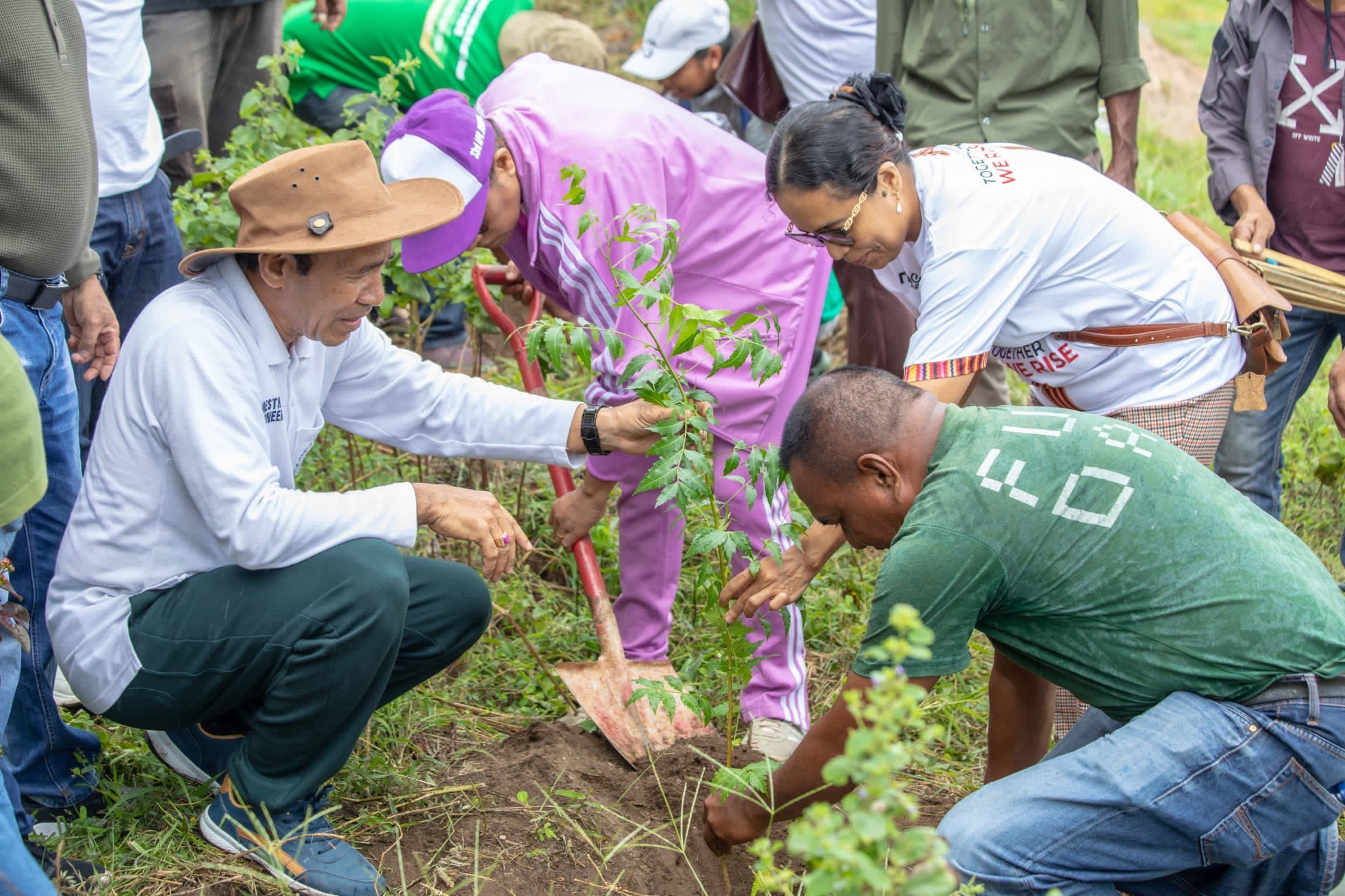 SEF Realiza Lansamentu Programa Re-florestasaun Kuda Ai-oan iha Fatukama, Dolok-oan, Cristo Rei