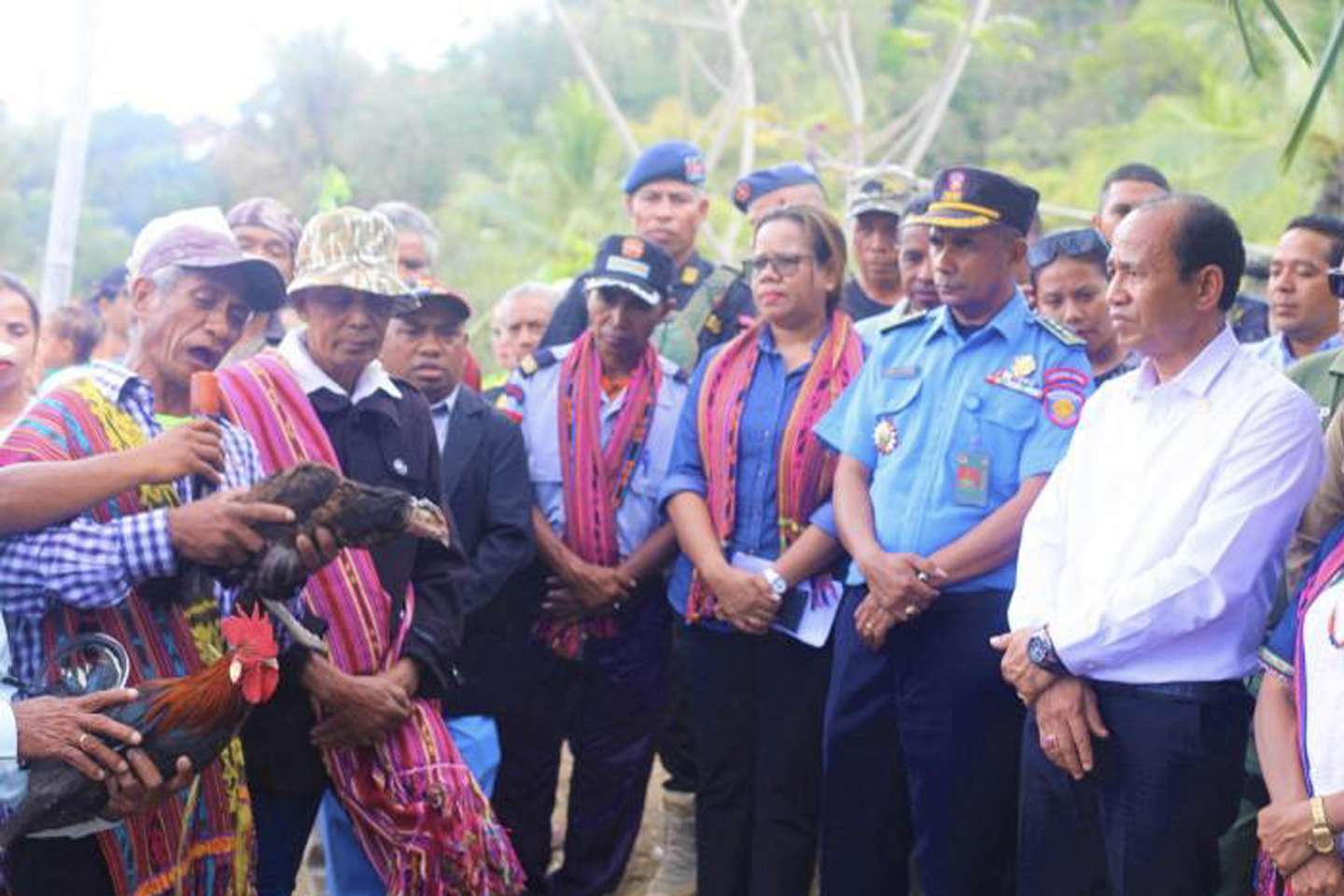 Where does it come from?