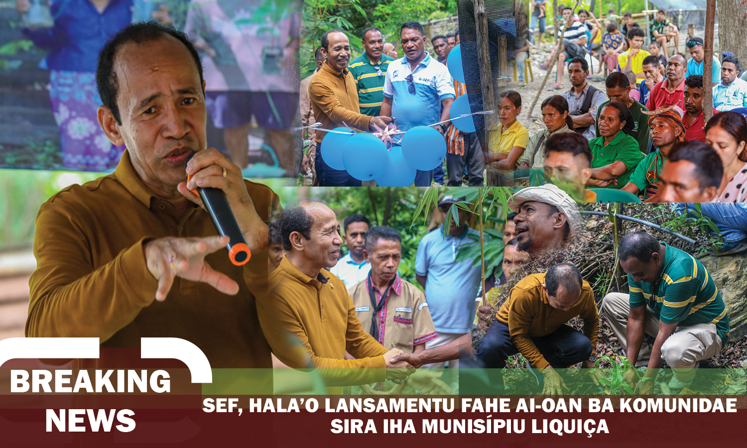 SEF, Hala’o Lansamentu Fahe Ai-Oan Ba Komunidae Sira Iha Munisípiu Liquiça