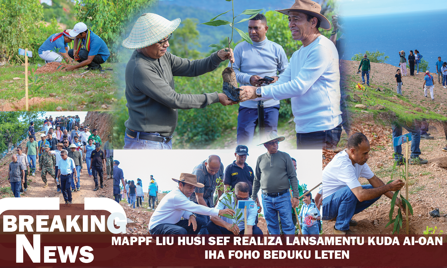 MAPPF Liu Husi Sef Realiza Lansamentu Kuda Ai-Oan Iha Foho Beduku Leten