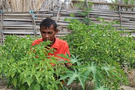 Atividade Kuda Ai horis